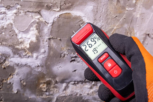 Best Mold Testing and Inspection Services in Cross Lanes, WV