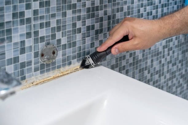  Cross Lanes, WV Mold Removal Pros